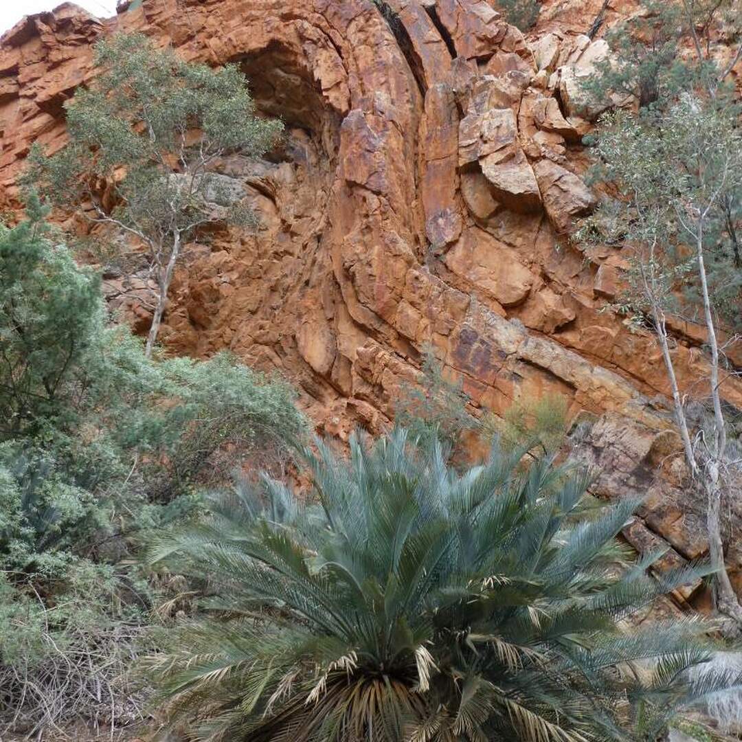 Into the Red Centre