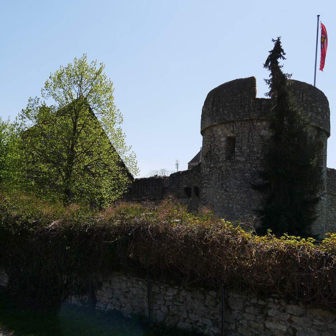 Fleckenmauer Dalsheim
