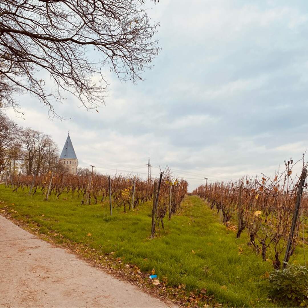 Regionalpark Rhein-Main