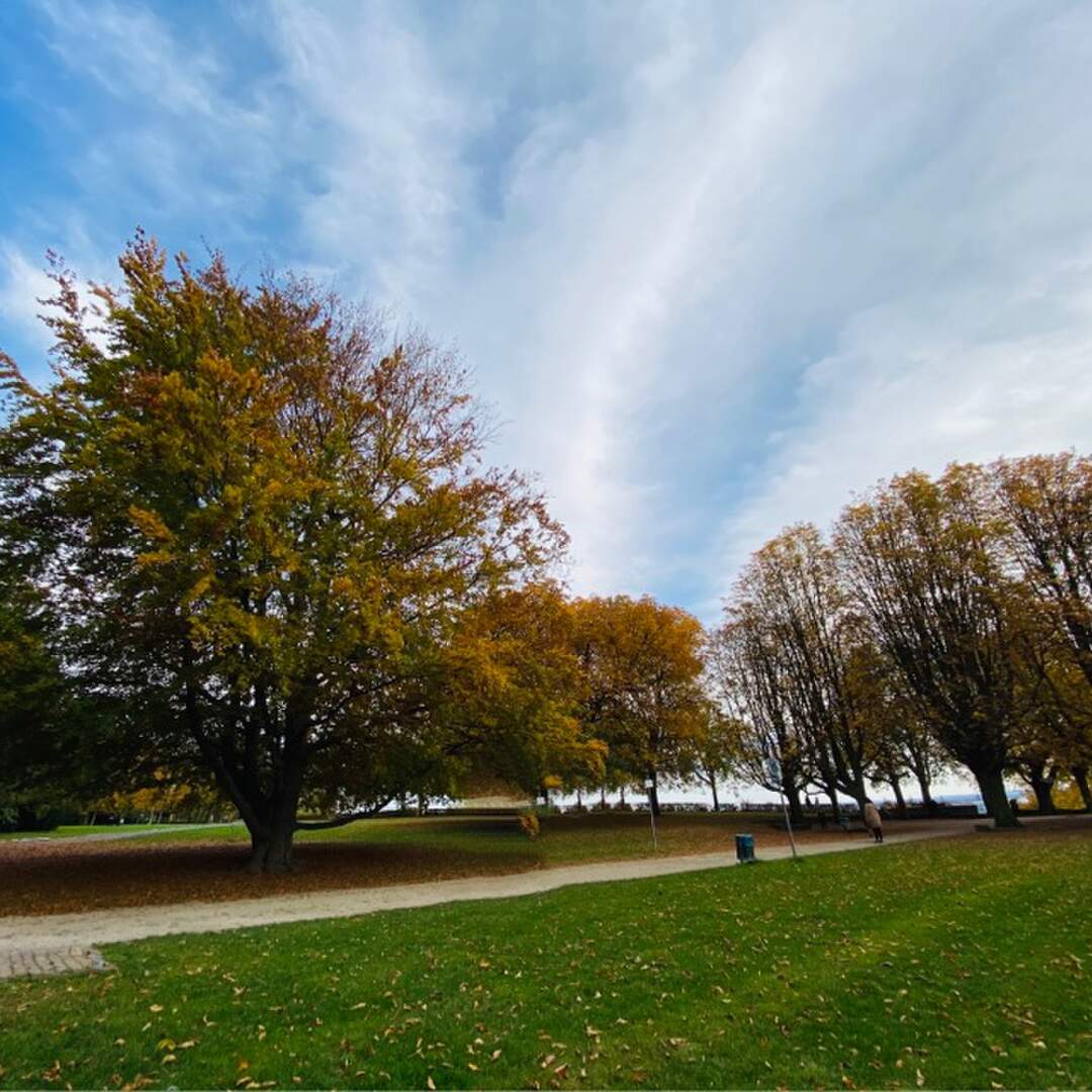 Herbsttag auf dem Lohrberg