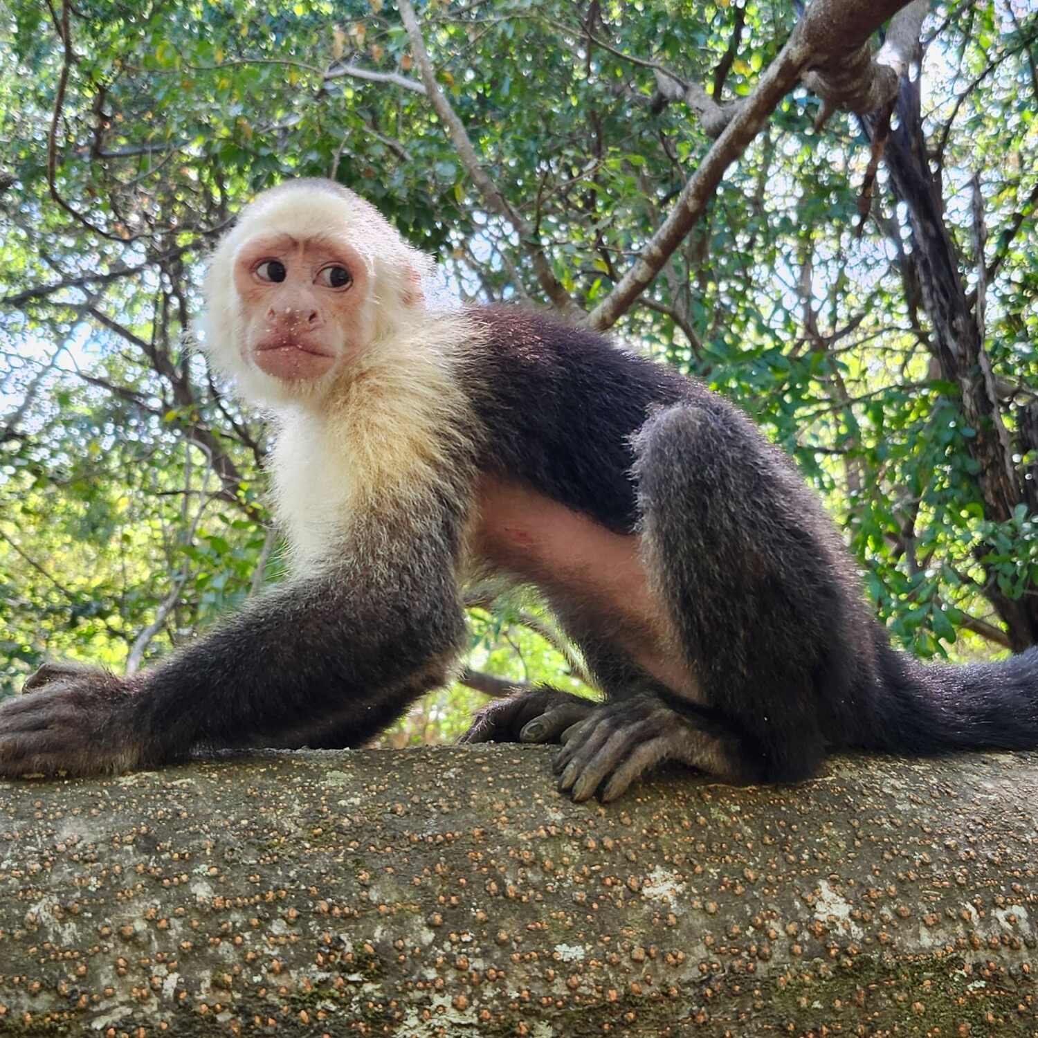 Guanacaste, Costa Rica