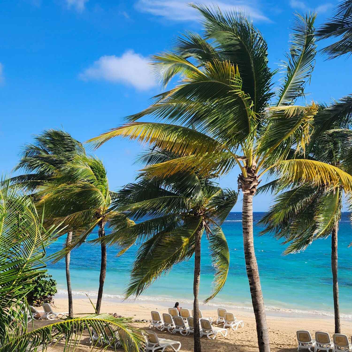 Ocho Rios Jamaïque