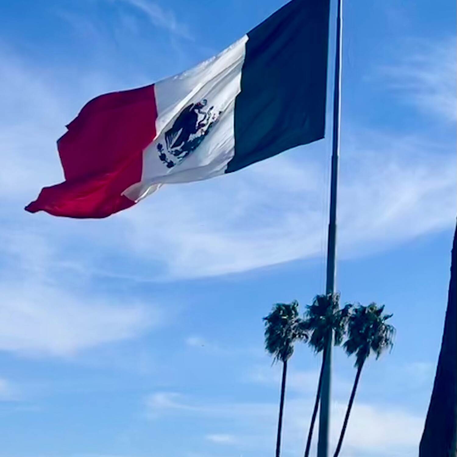 Baja Road Trip 2024