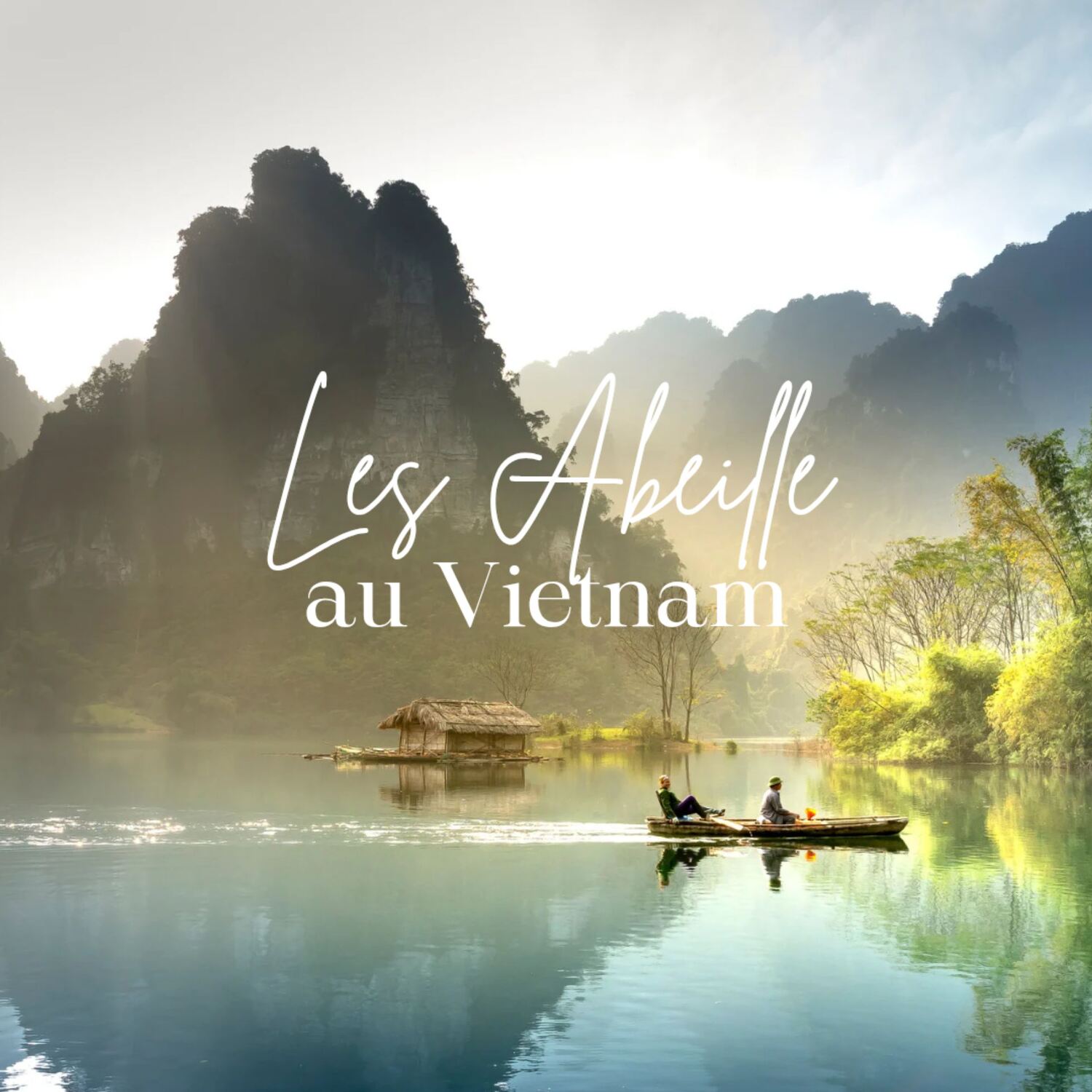 Les Abeille au Vietnam