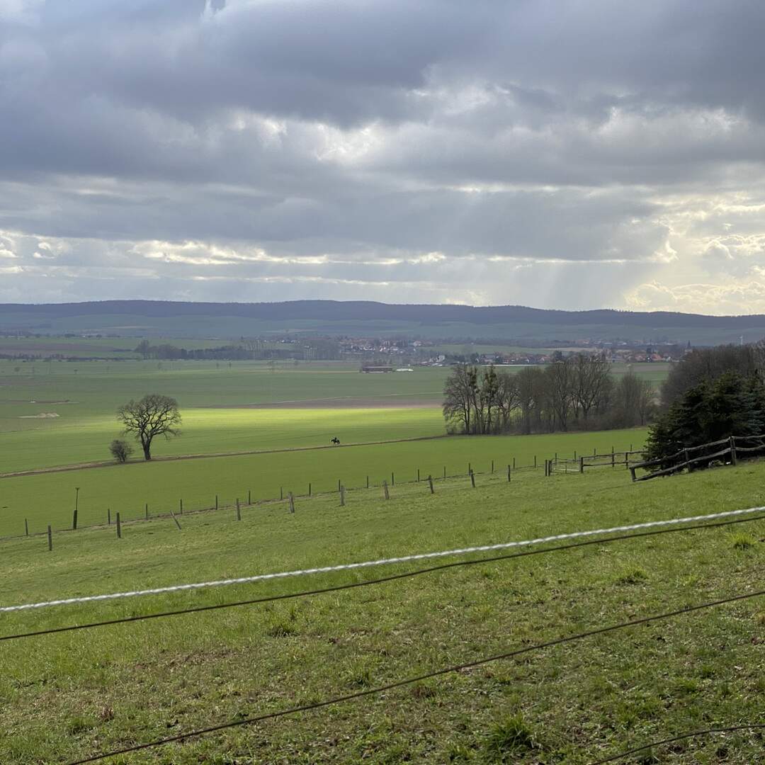 Vor der Haustür Runde 2