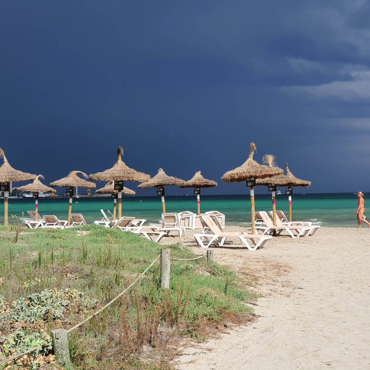 Alcudia