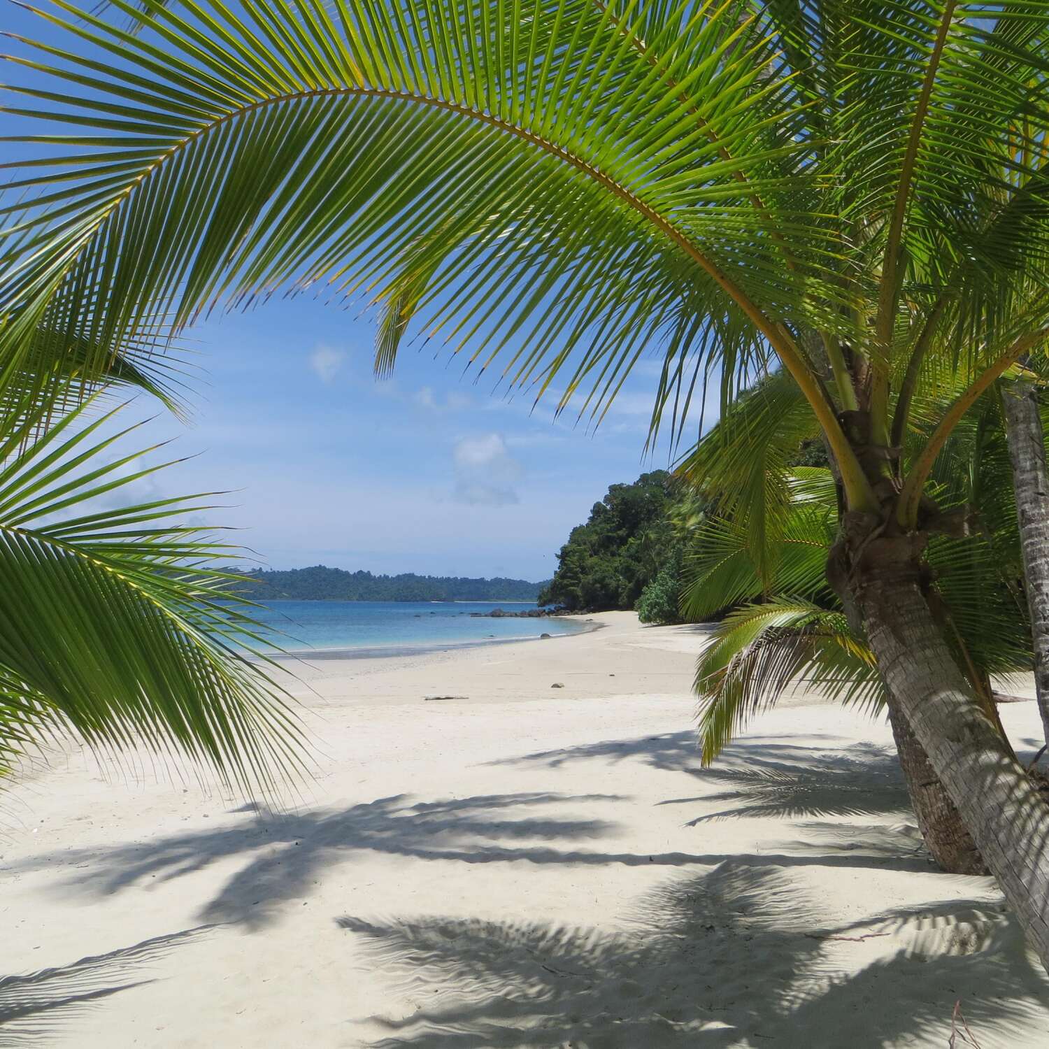 ●●●PANAMA●●●