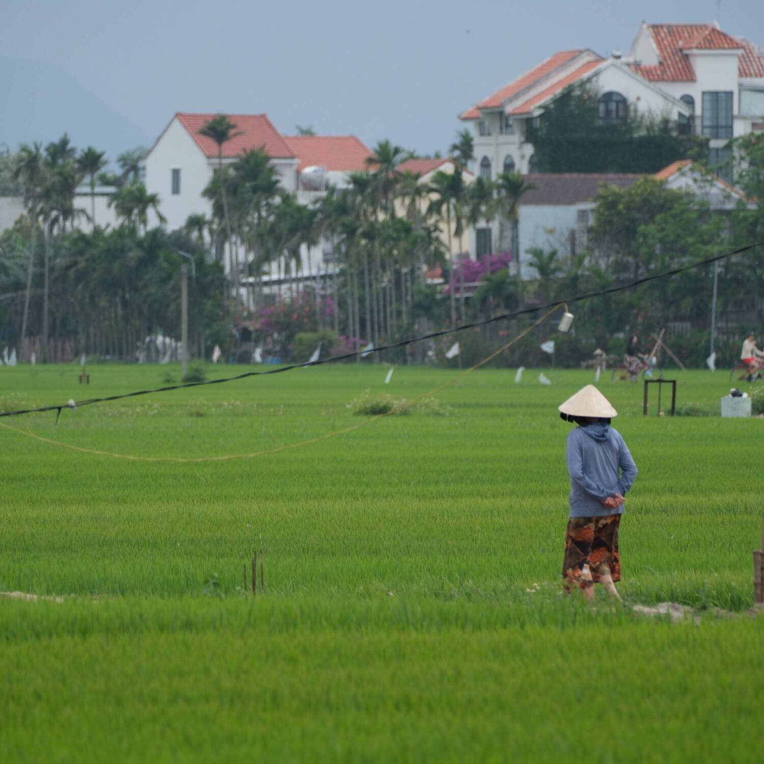 Vietnam