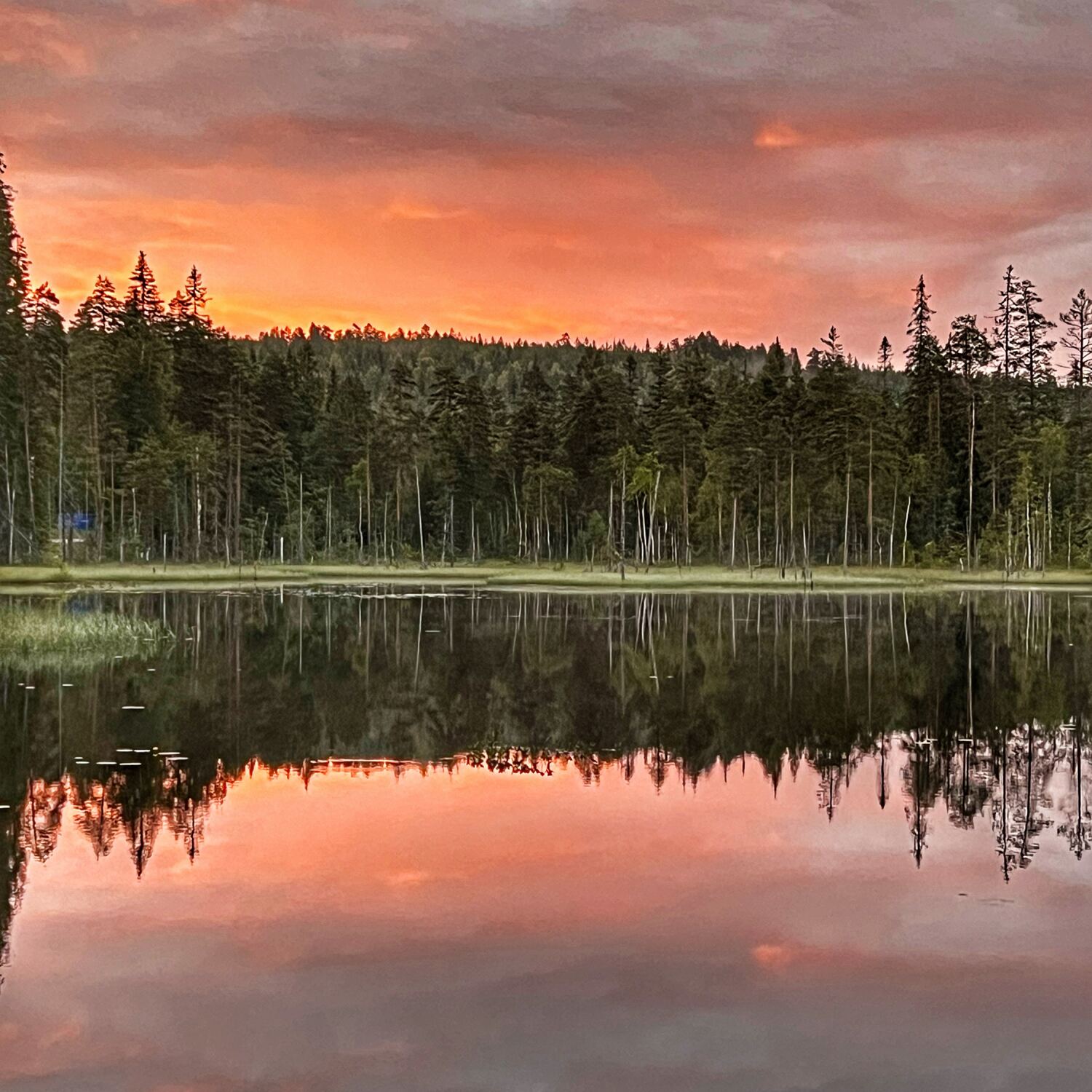 Schwedens Hohe Küste