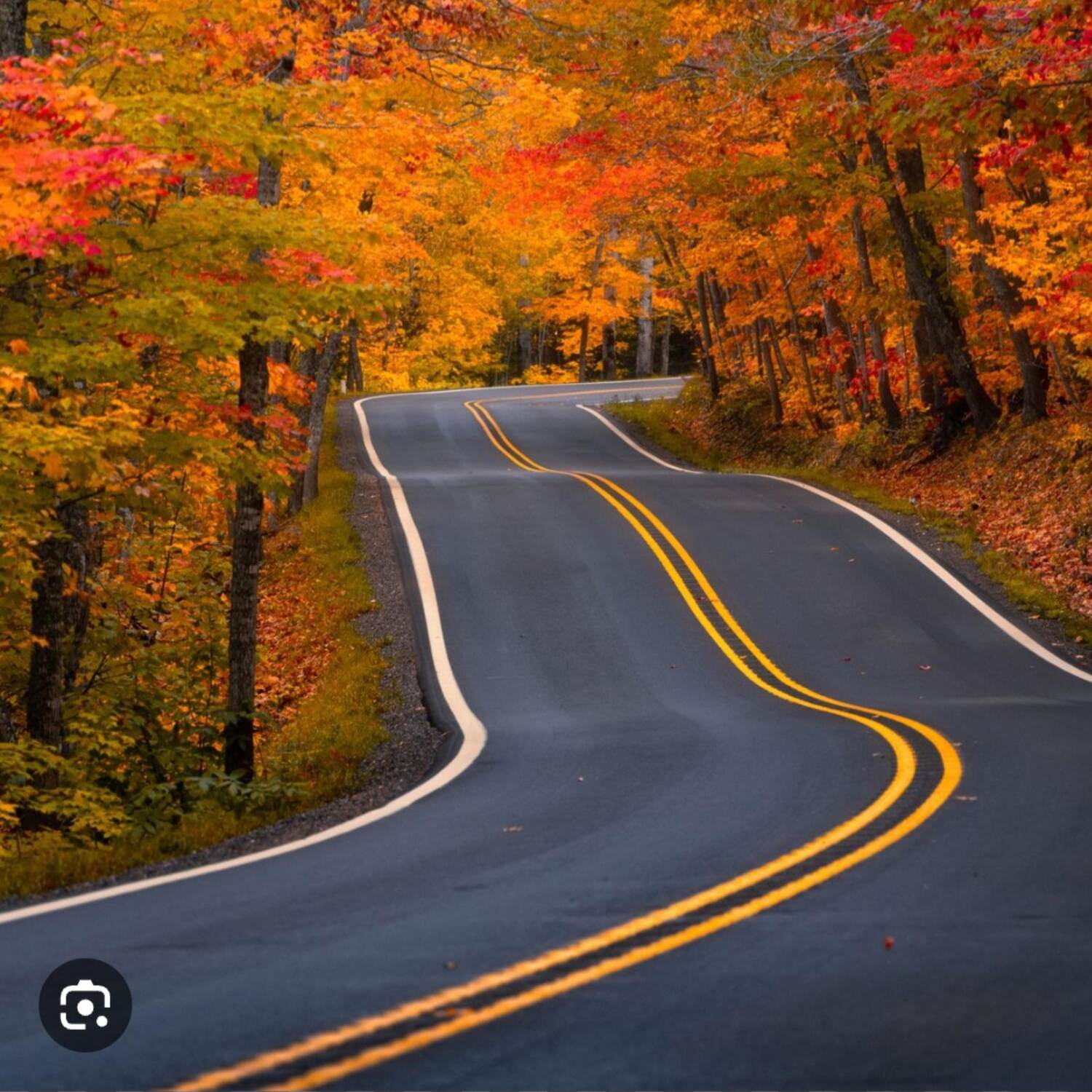 New England Fall 2023