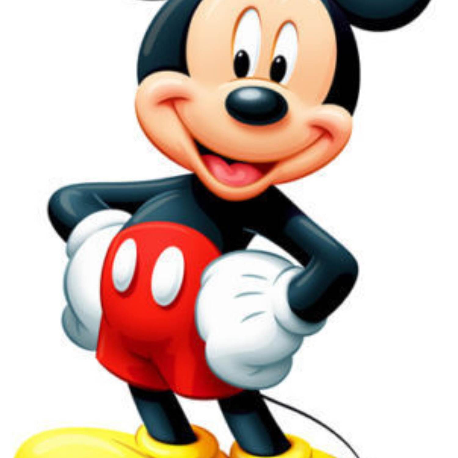 MickyLand