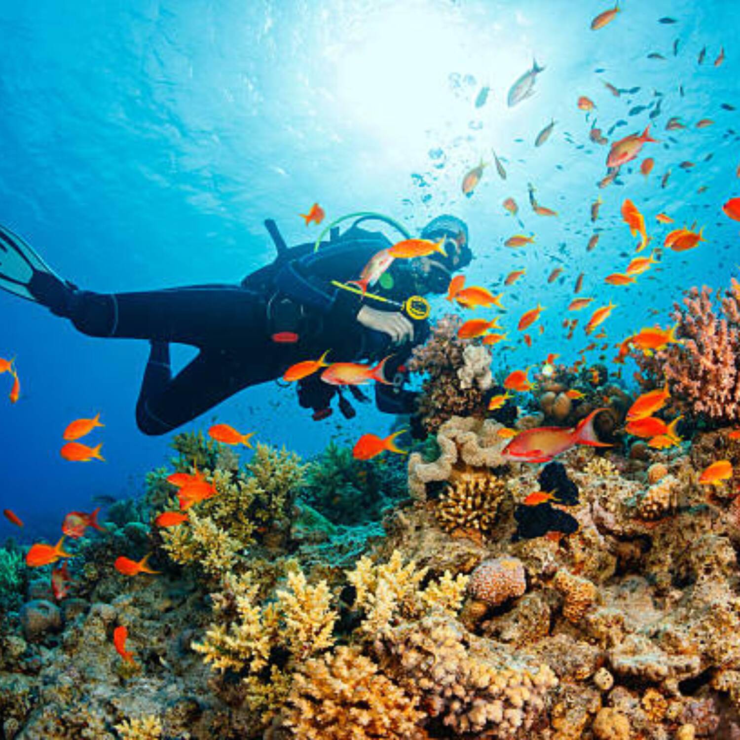 Roatan