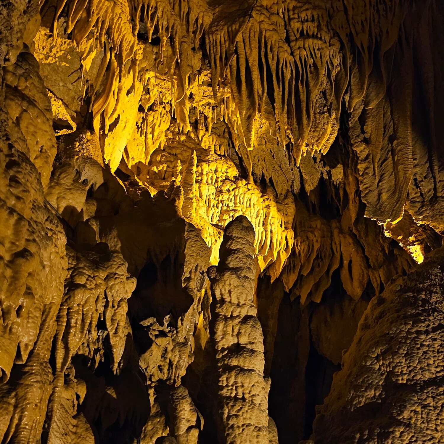 Mammoth Cave National Park