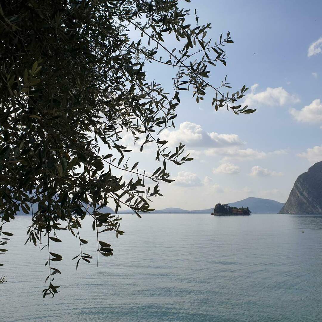 Iseo 2019
