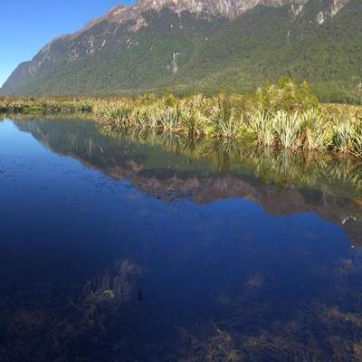 newzealand