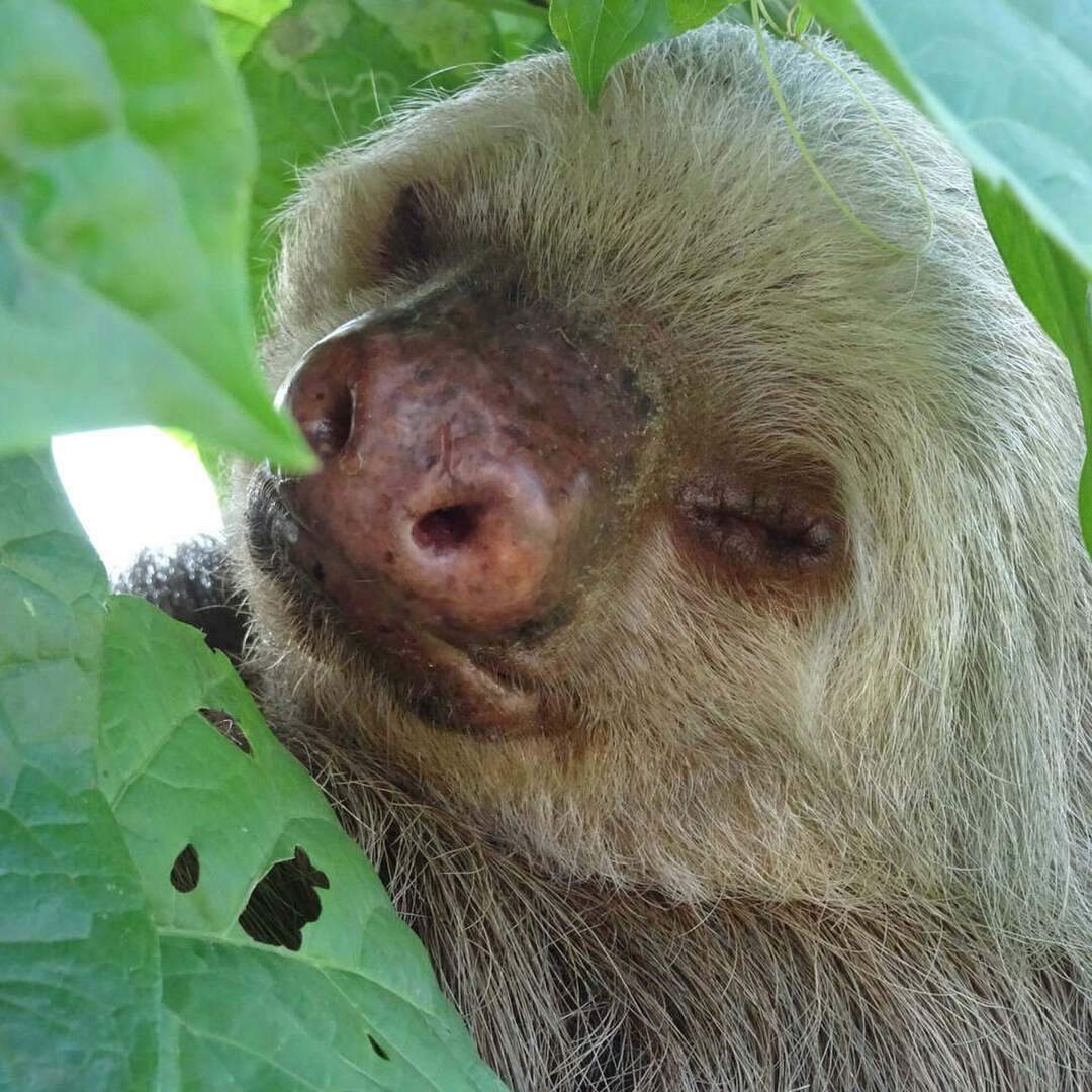 Costa Rica