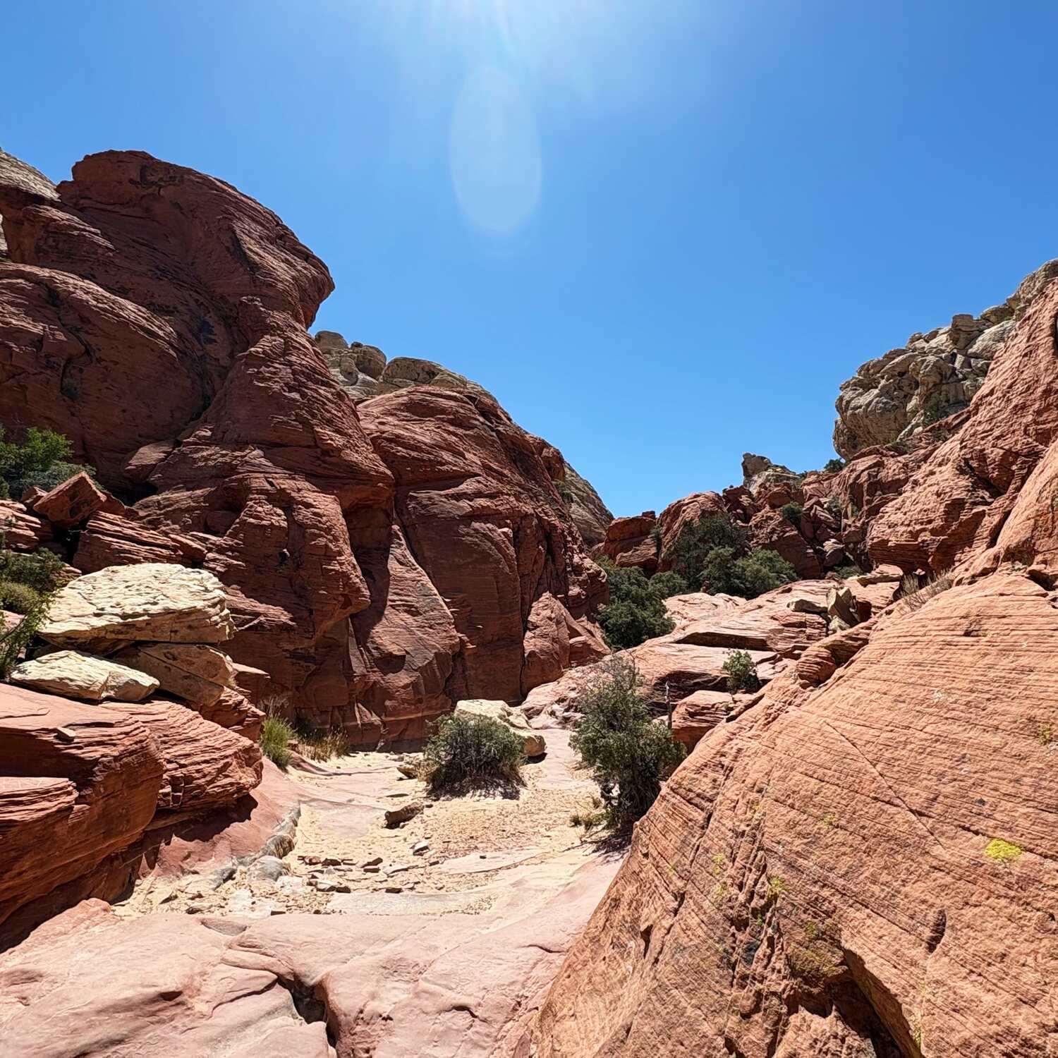 Nevada - Utah road trip