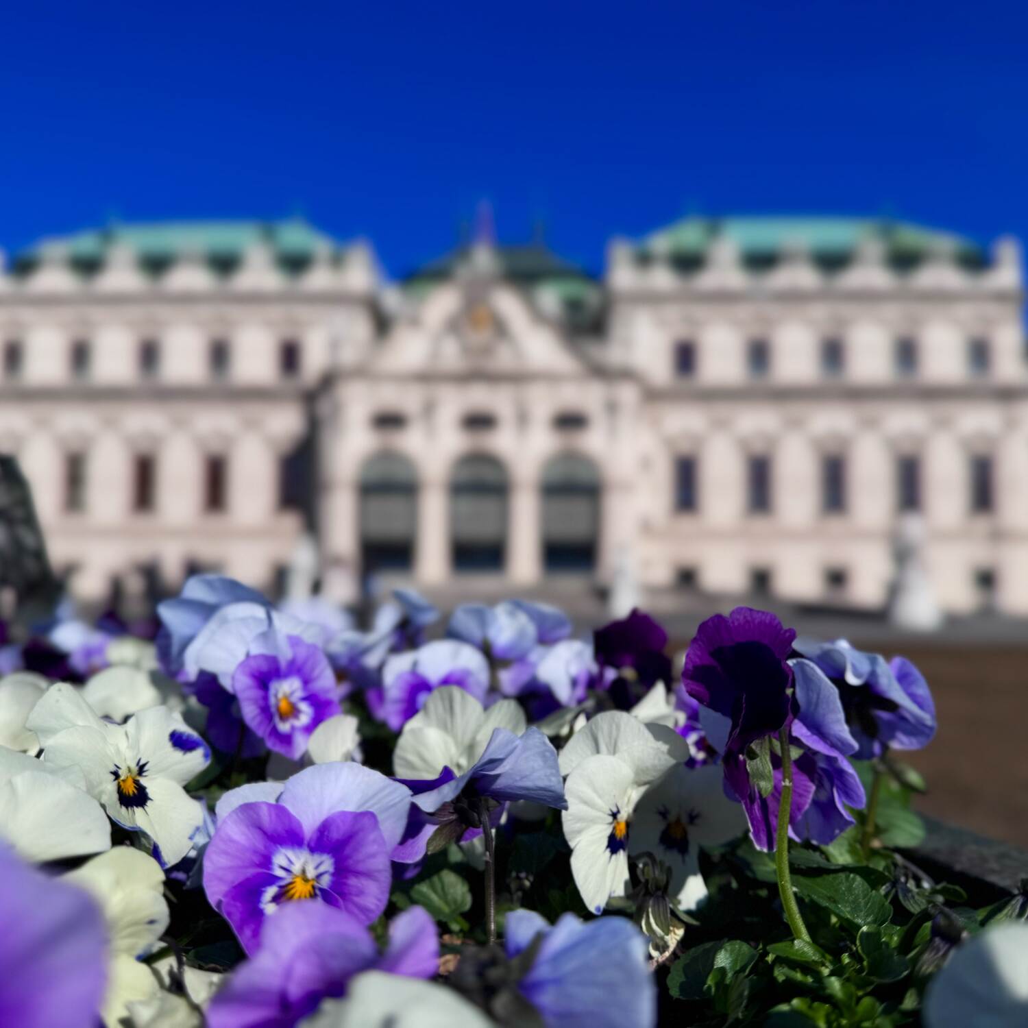 Allgäu, Wien & Bratislava