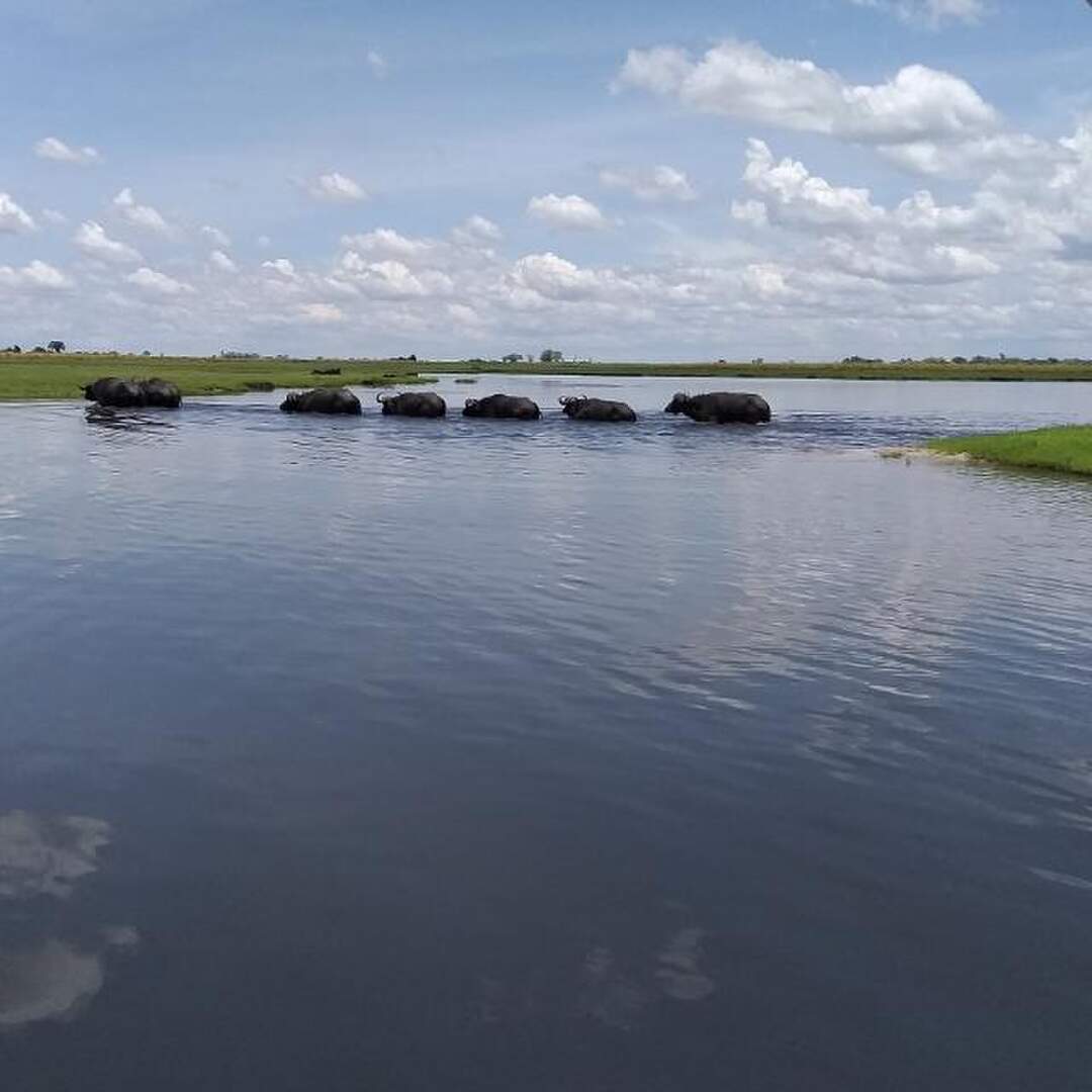 2019-11 Sur de Africa y más