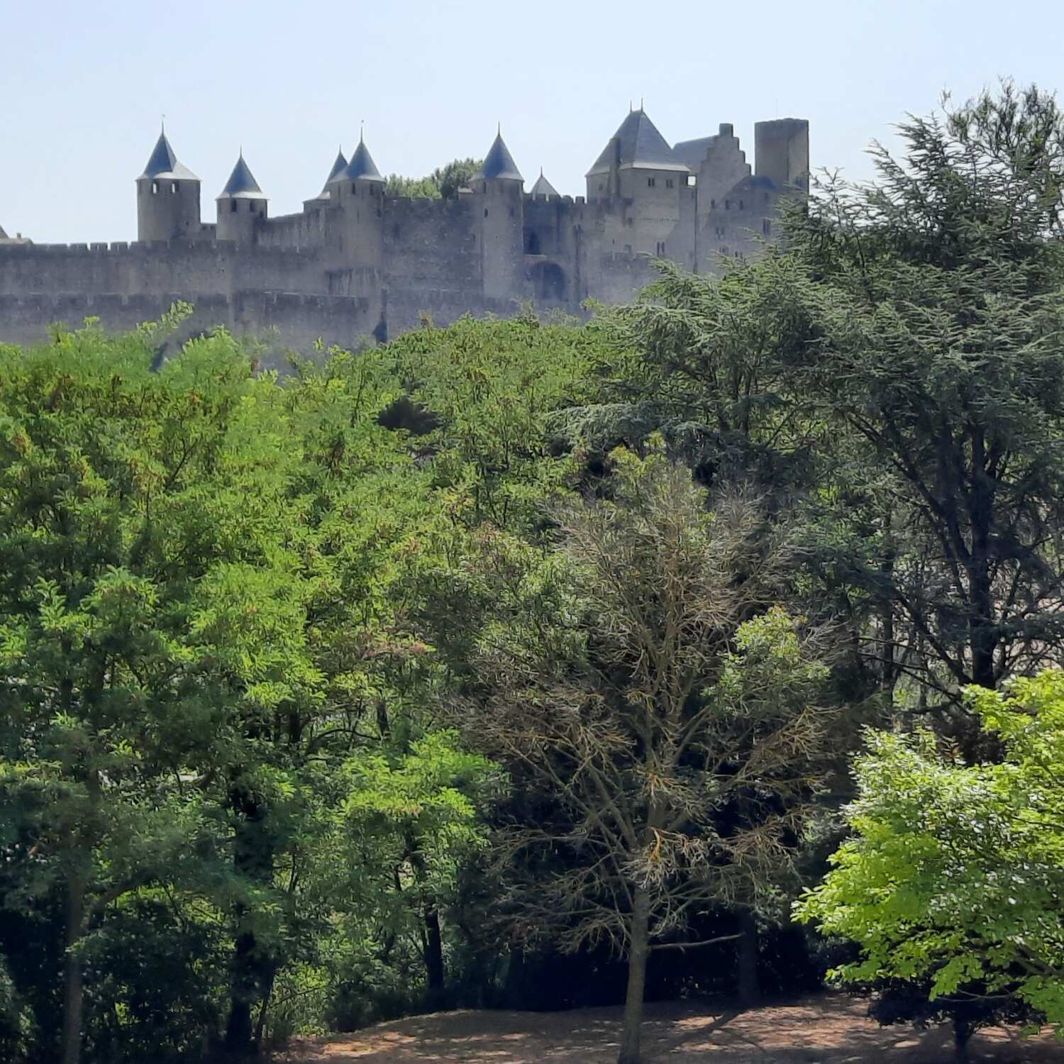 Carcassonne