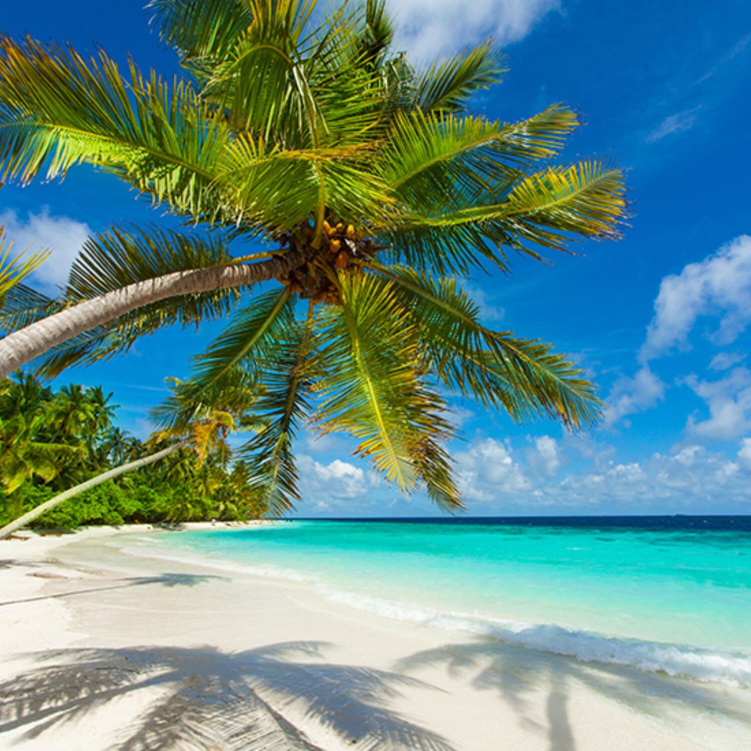 🇲🇻🏖️ Malediven 🏖️🇲🇻