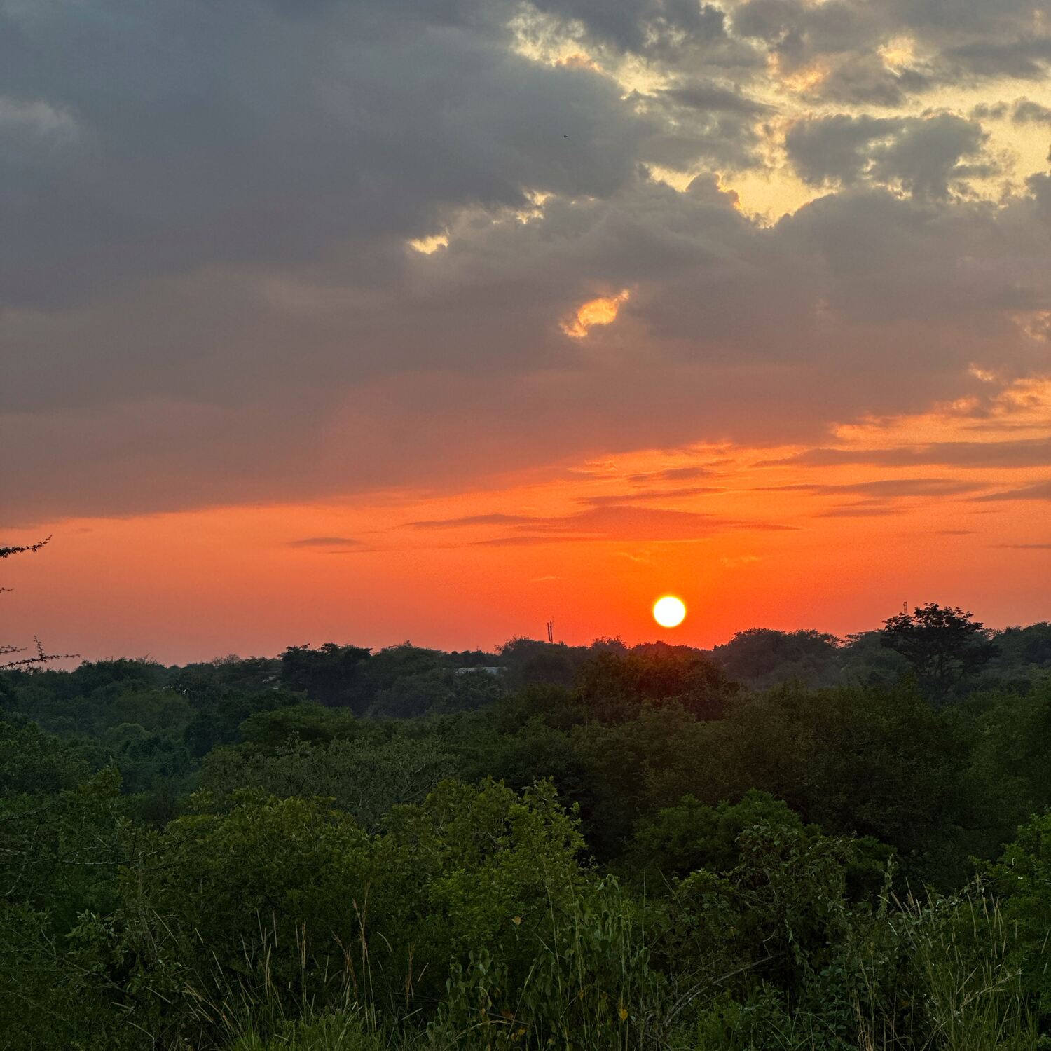 A 🇺🇬 primate & wildlife trip
