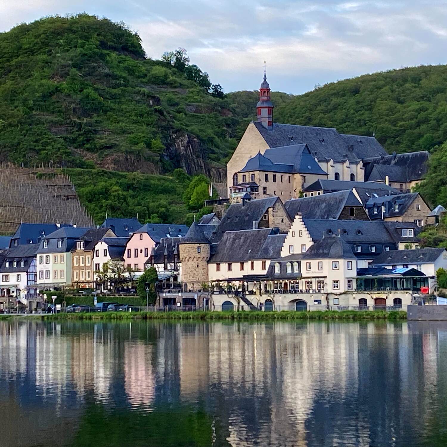 Mopstreffen an der Mosel