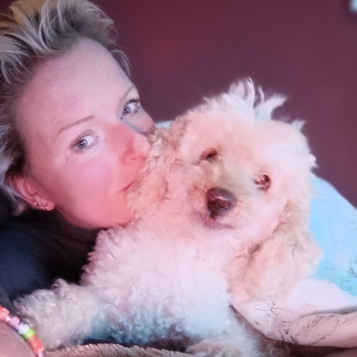 🚫🎇🧨Silvesterreise2025/2026