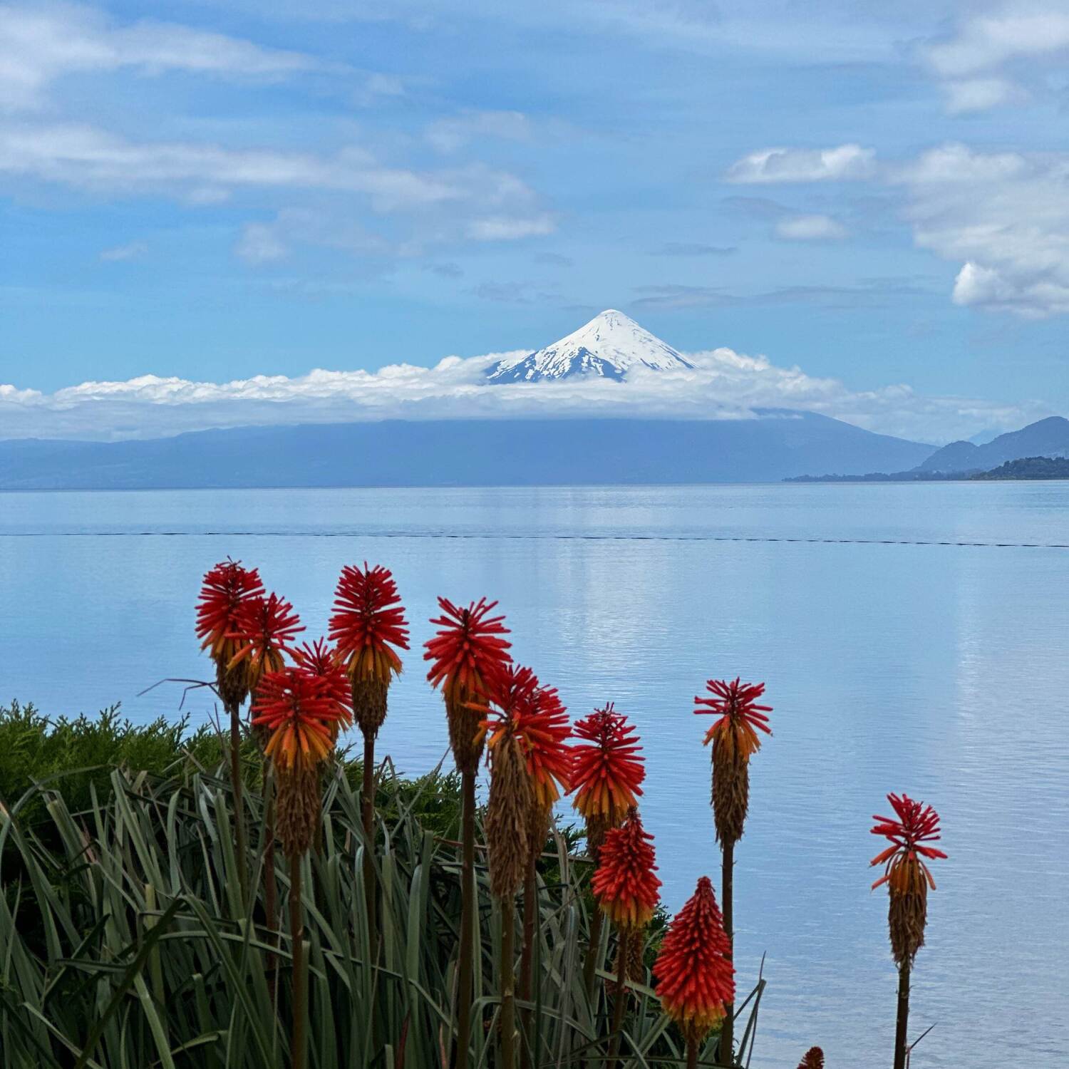 Süd Amerika 2024-2025