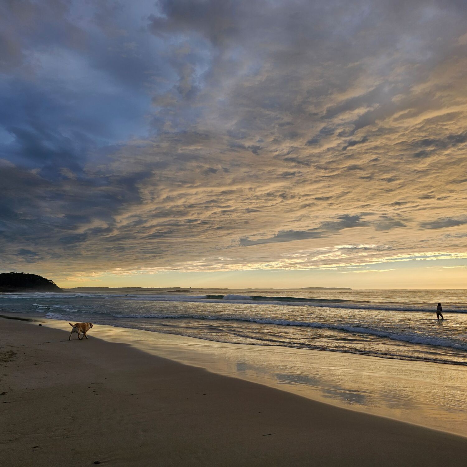 A Visit to southern Africa 202