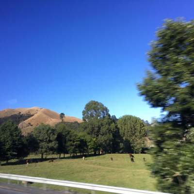 New Zealand
