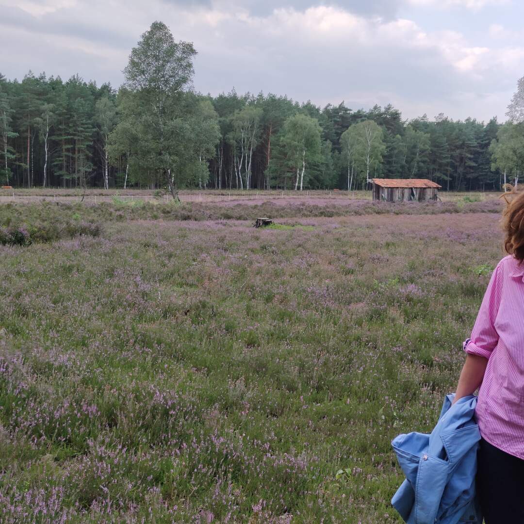 Lüneburger Heide