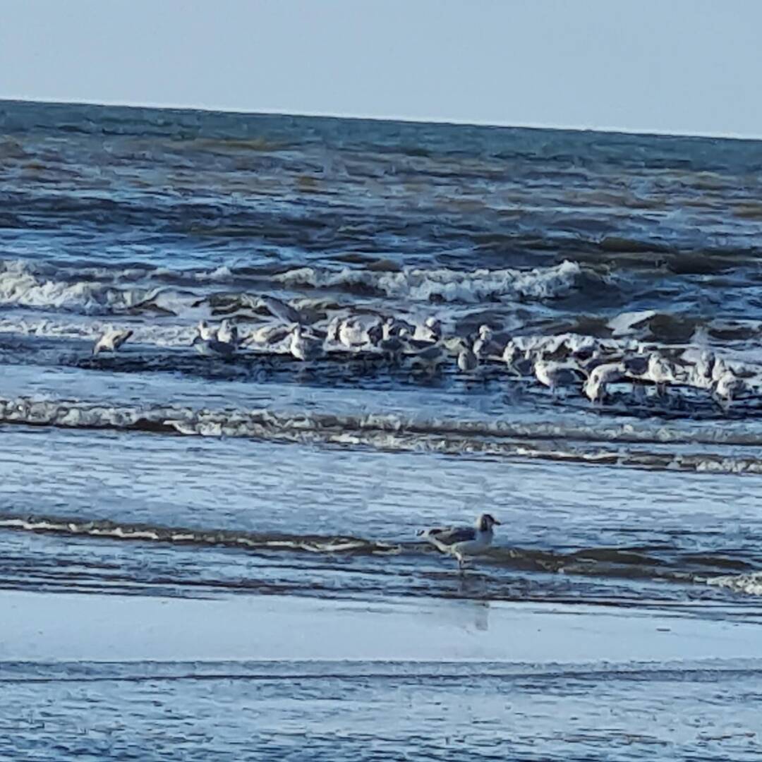 Nordholland