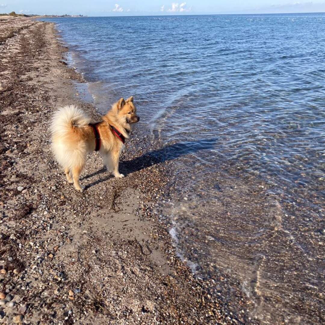Ostsee im Oktober