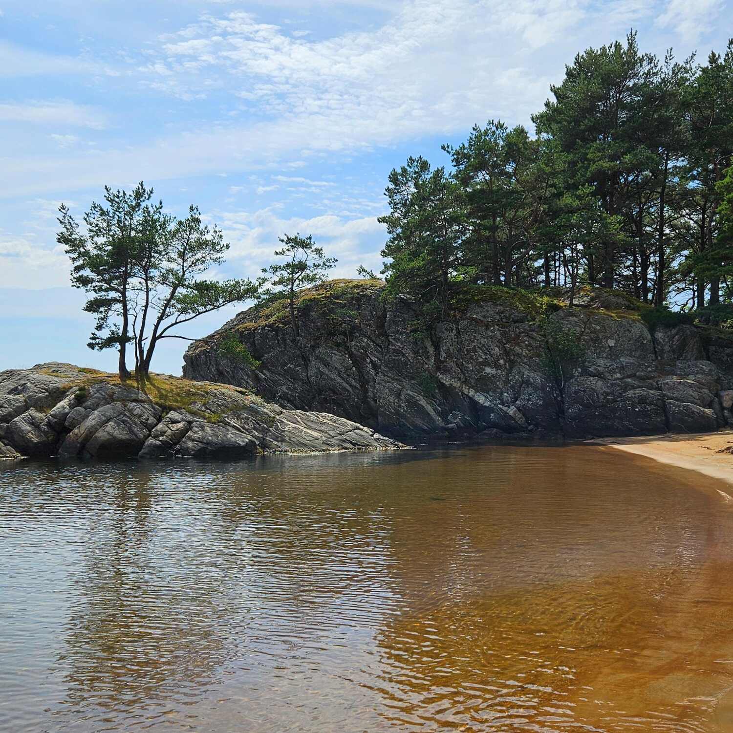 FORDschritt & Zuwachs