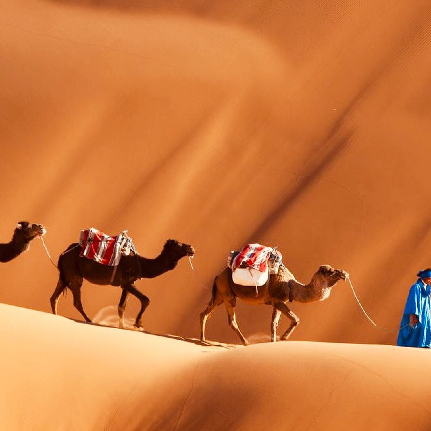 Marokko 🇲🇦 2026