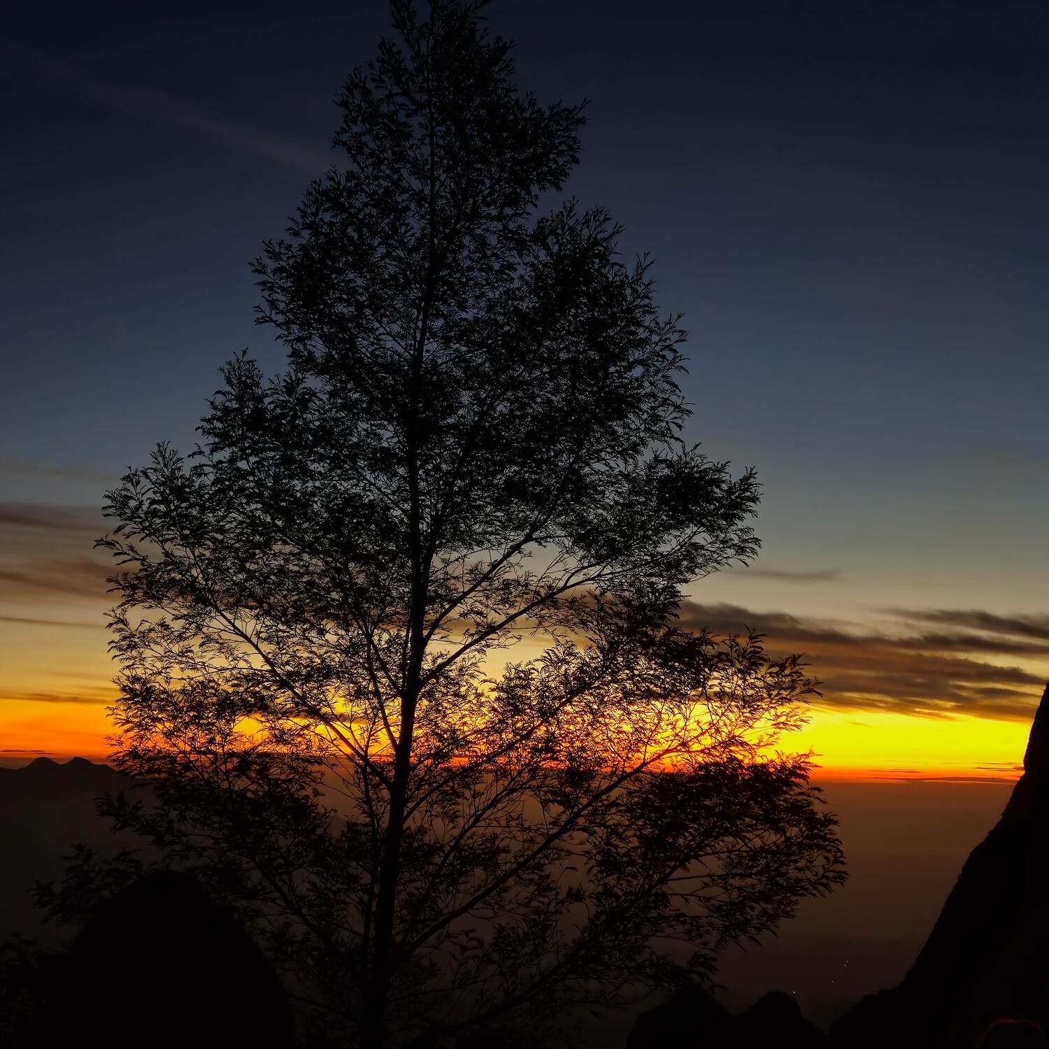 24' Miles, Maps & First Stamps