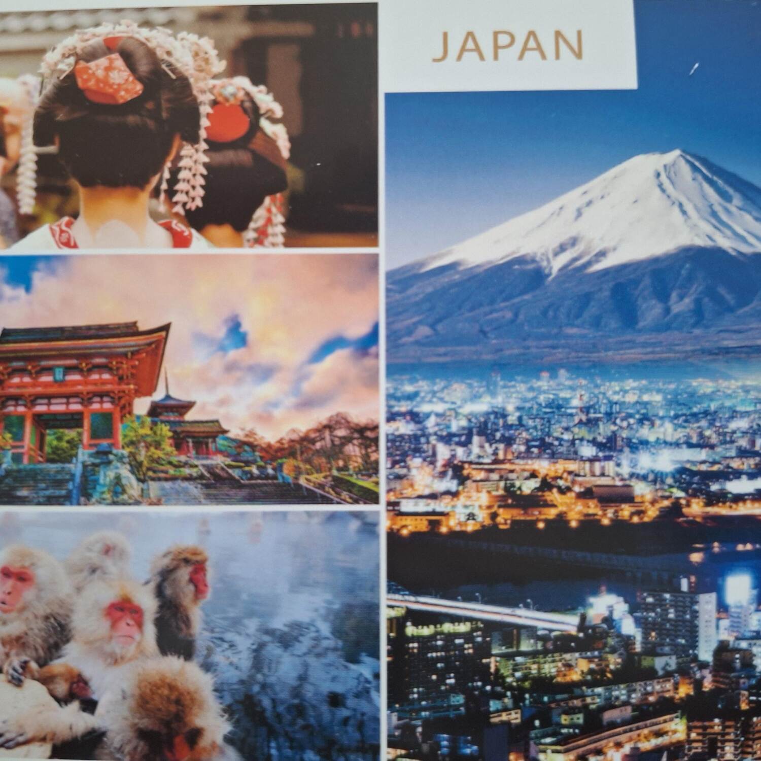 Drei Ulmer Spatzen in Japan