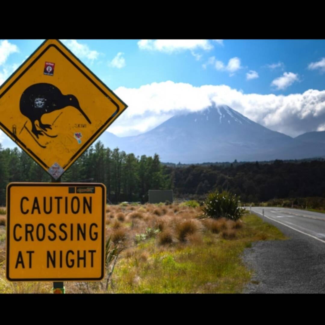 Work&Travel in New Zealand