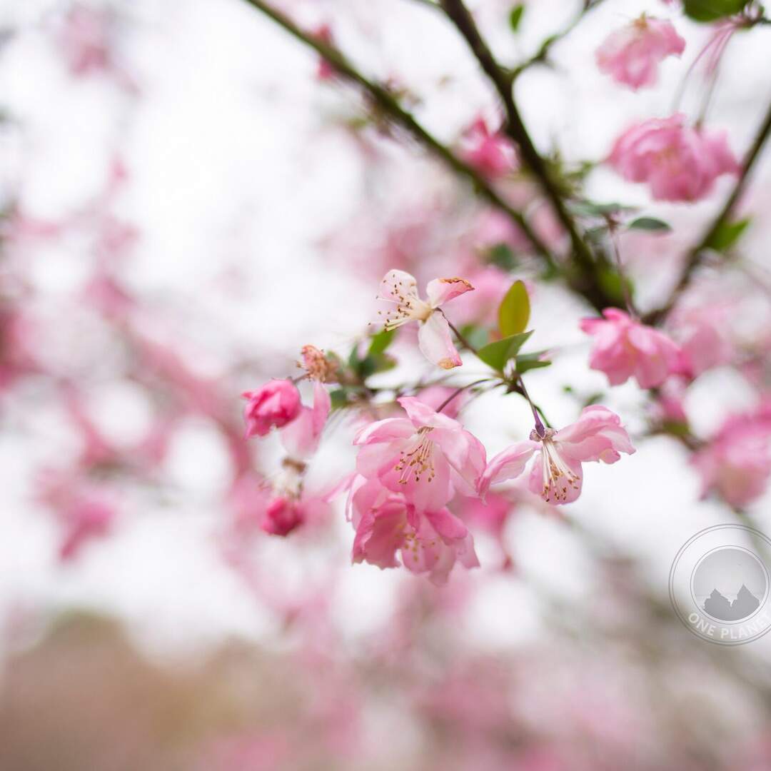 Hangzhou & Nanjing 杭州&南京