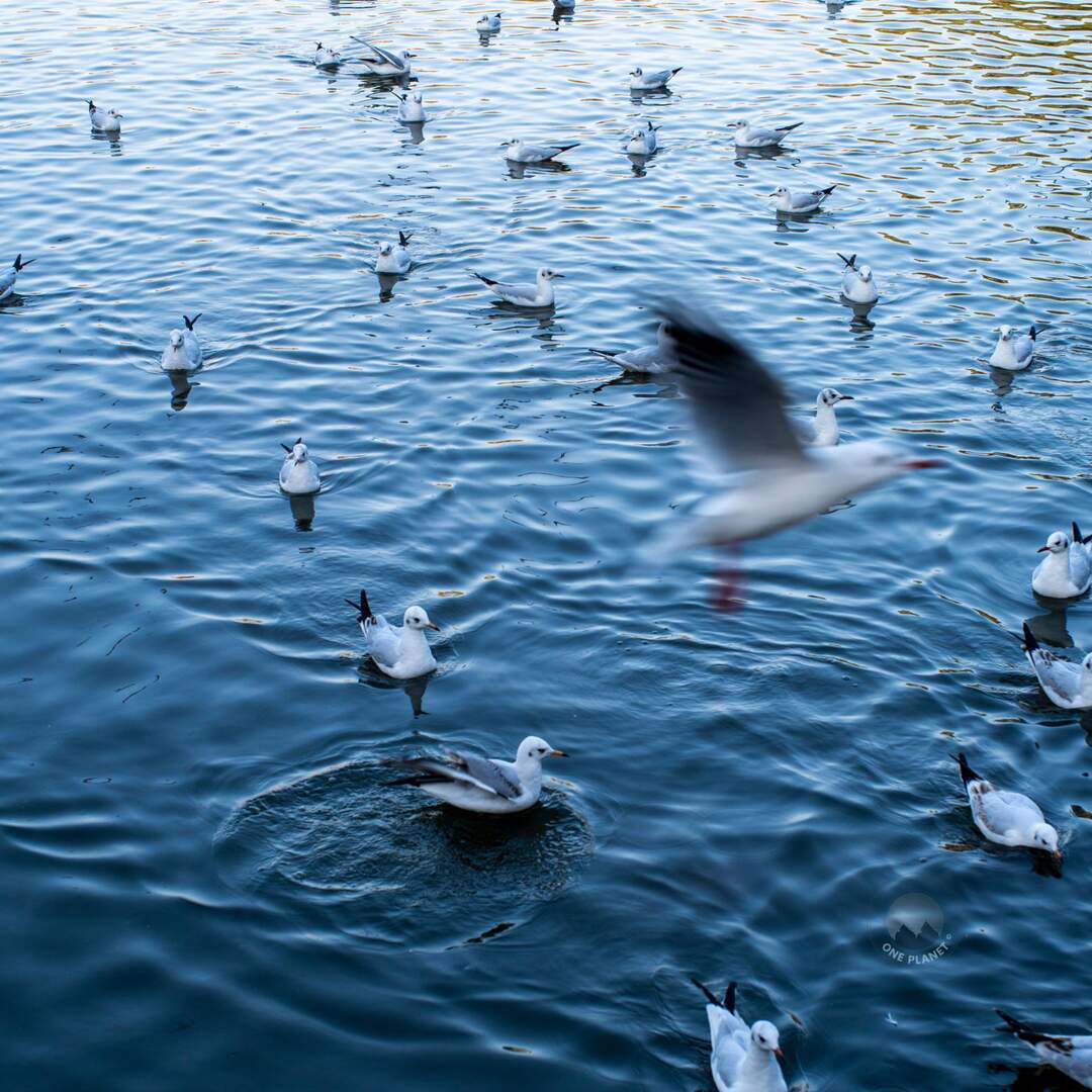 One weekend in Kunming