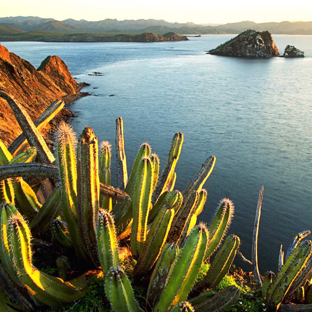 Mexico