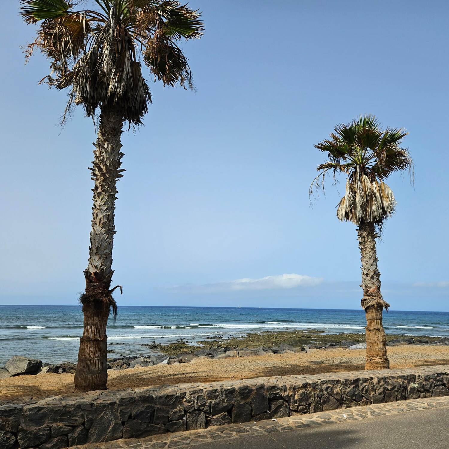 Playa de las Americas