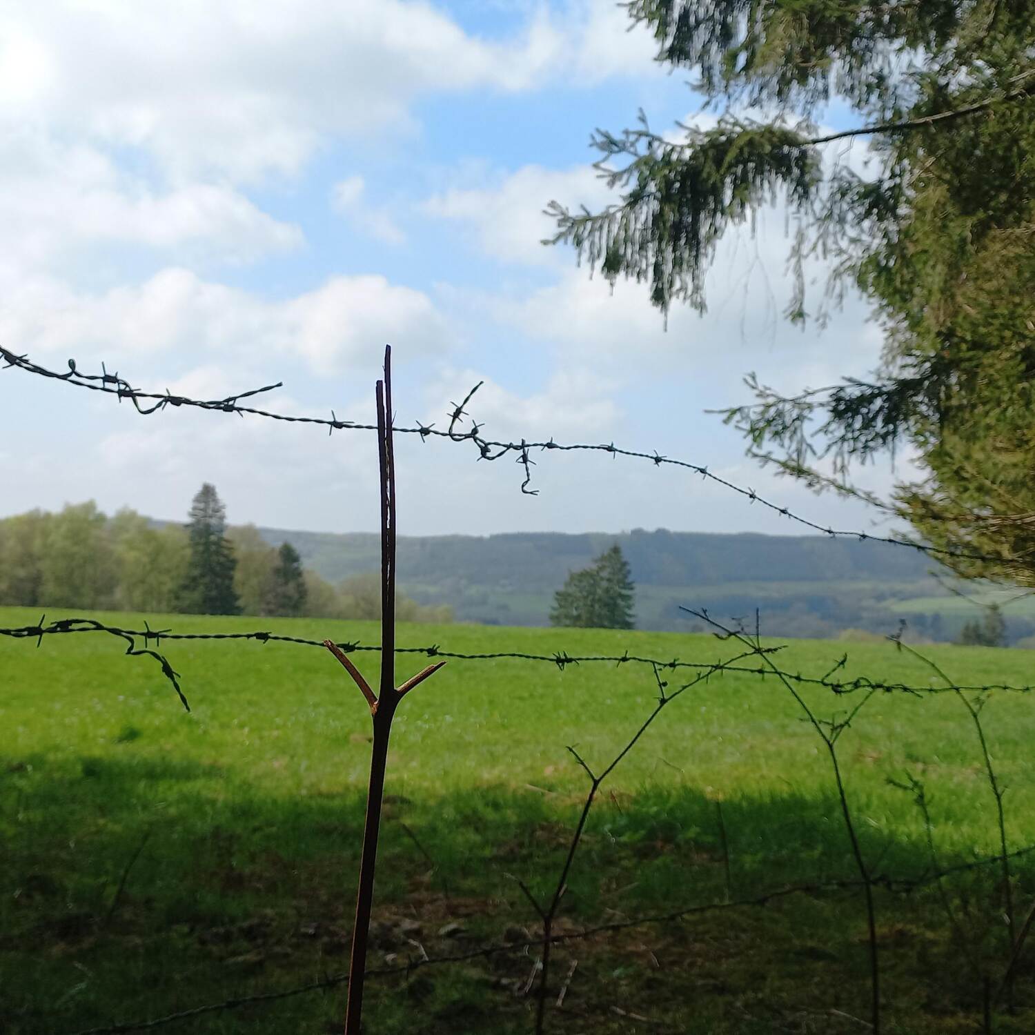 Wandelen in Wallonië