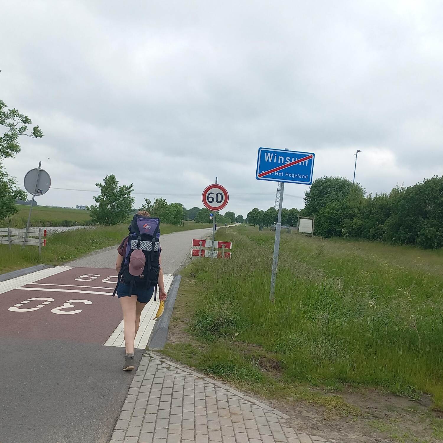 Wandeldriedaagse