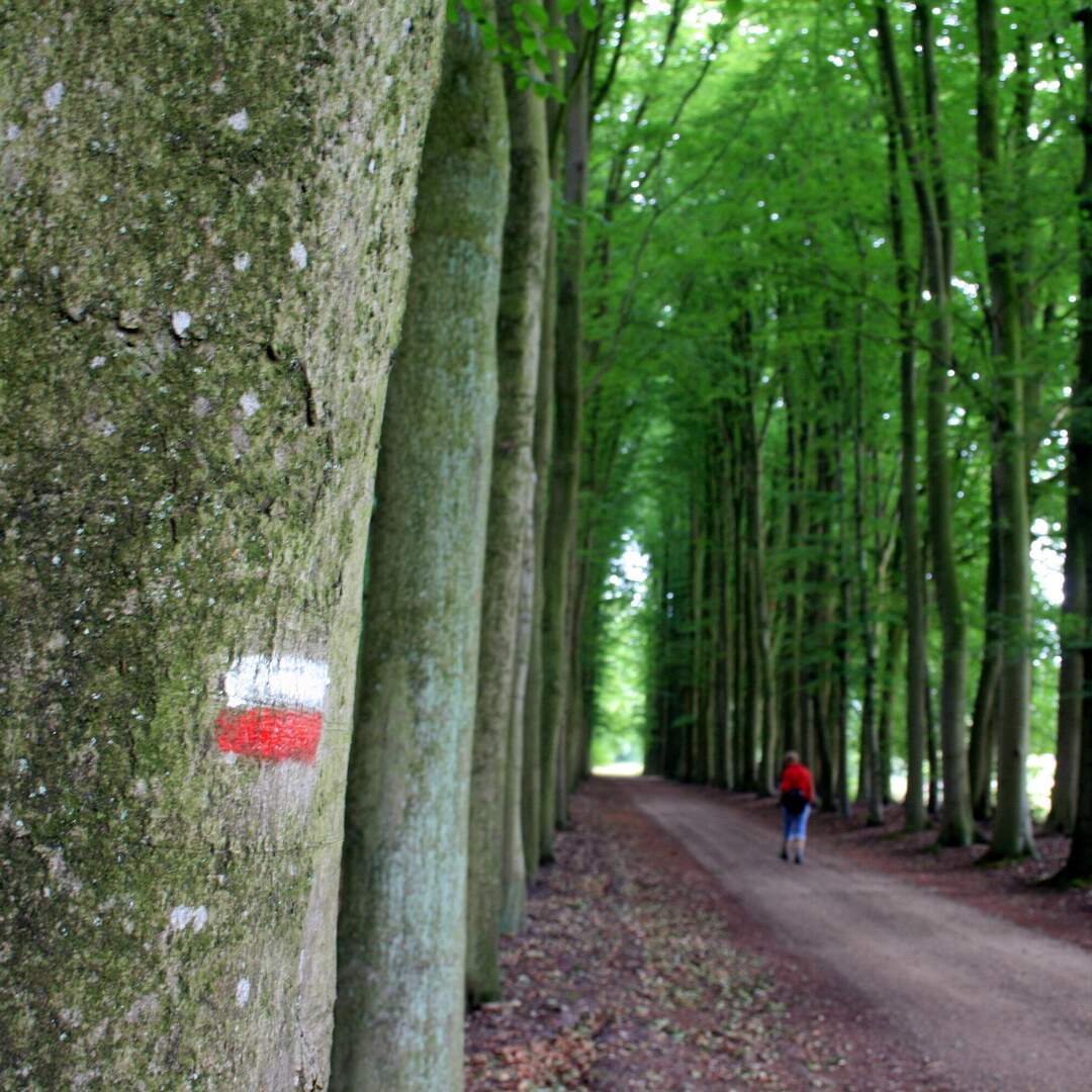 Pieterpad, de laatste loodjes