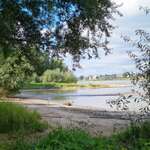 Tanjan