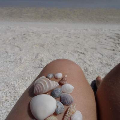 Dream trip