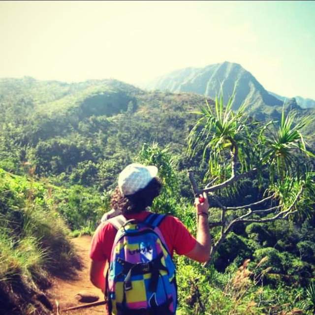 Ananastisch on Hawaii