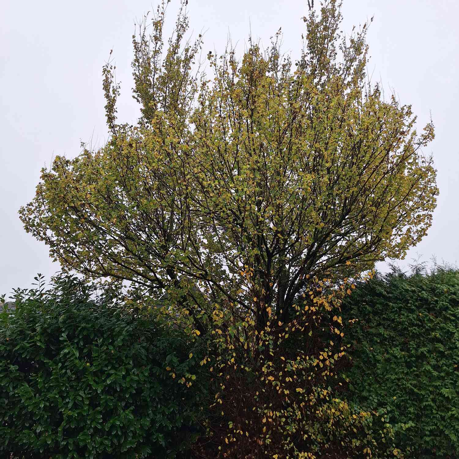 Auf der Suche nach Sonne